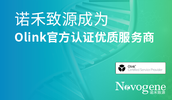 再添认证｜诺禾致源成为Olink官网认证服务商，多平台满足多元客户需求