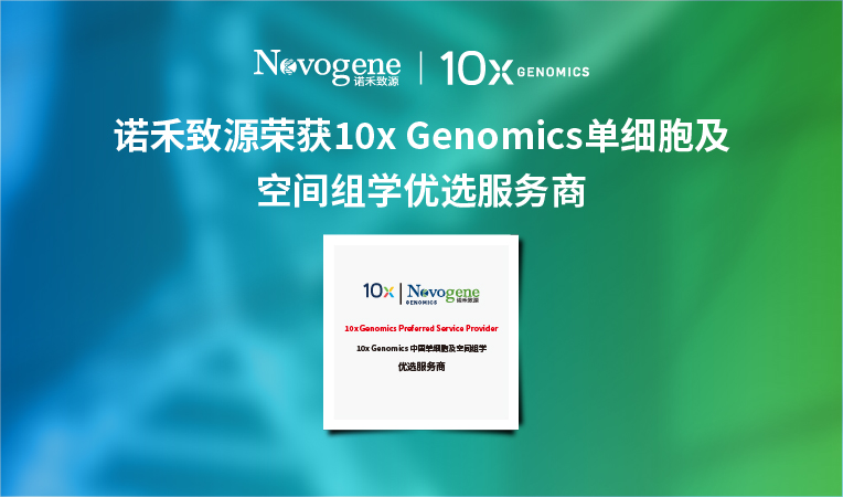 诺禾致源成为10x Genomics单细胞及空间组学优选服务商，树立实验室标准范式