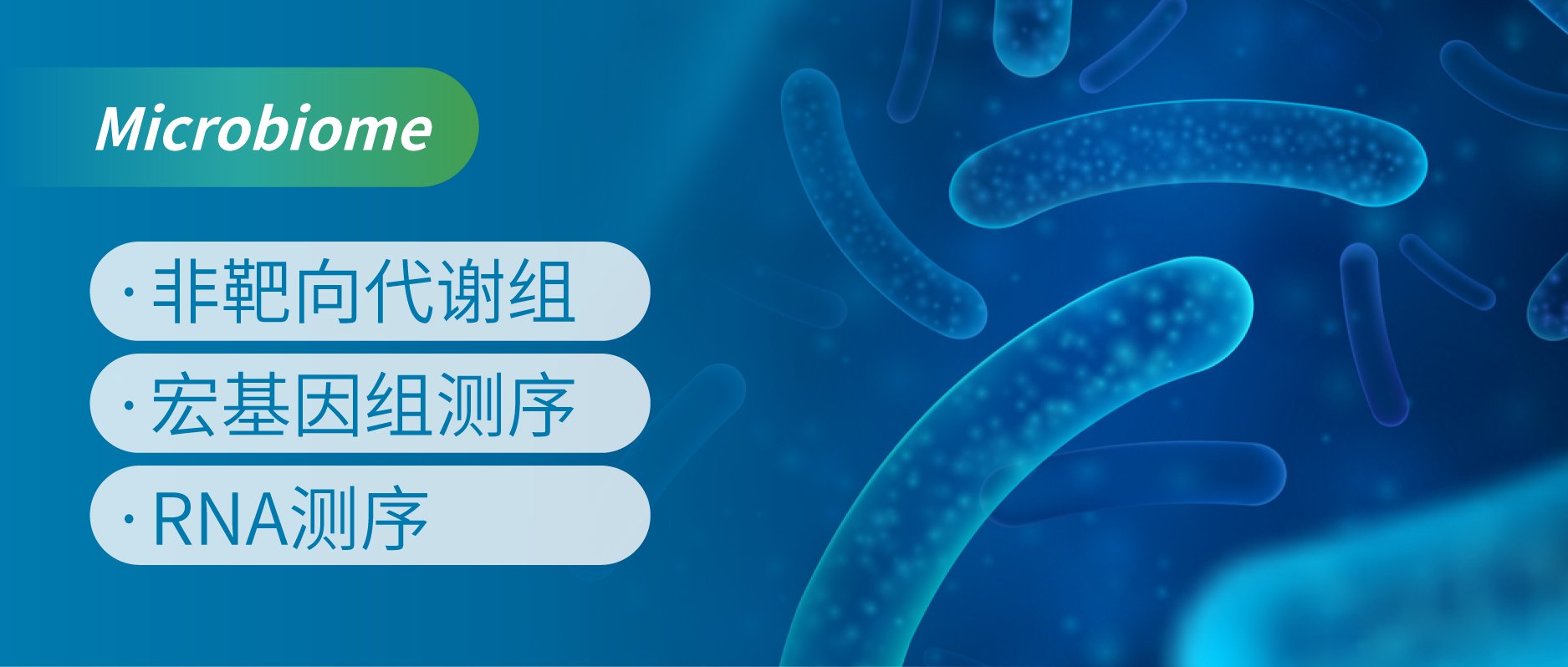 非靶向代谢组学助力研究库欣病患者的肠道微生物群影响小鼠抑郁和焦虑行为