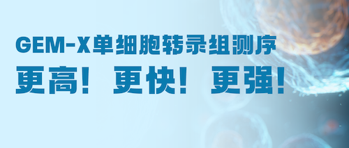 限时抢鲜 | 升级GEM-X单细胞转录组，成就数据质量新高