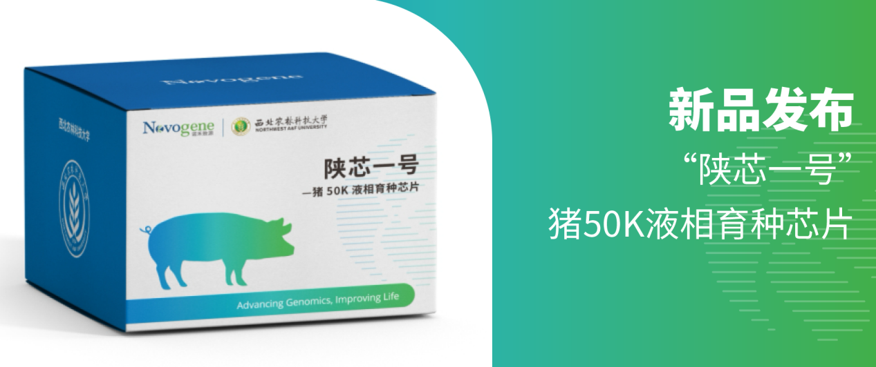 新品发布｜“陕芯一号”猪50K液相育种芯片
