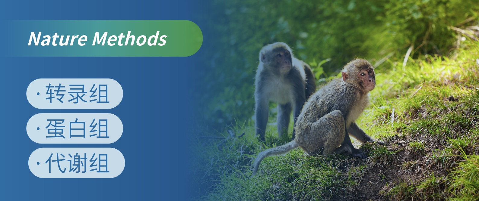 首绘！灵长类全身衰老多组学图谱