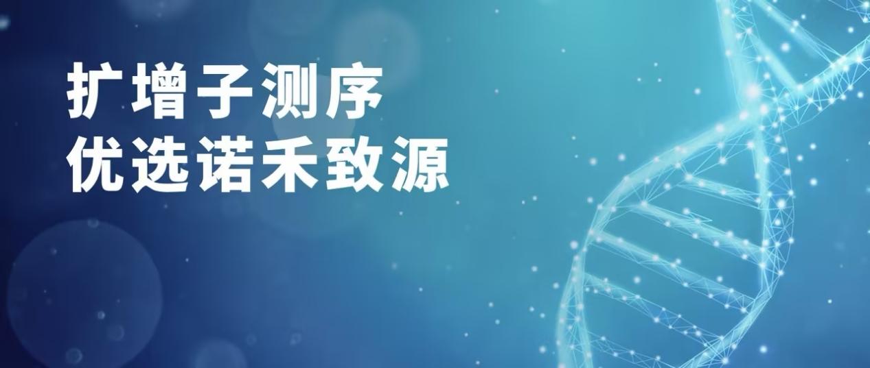 扩增子测序优选诺禾致源 —— 更长读长加持全流程阴阳控，数据可信更省心