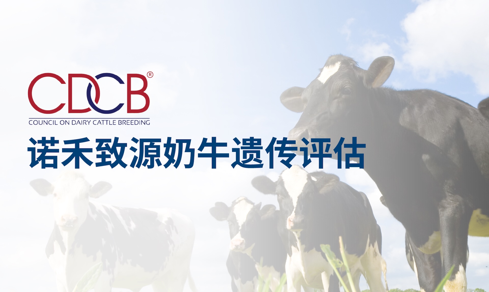 推荐新闻